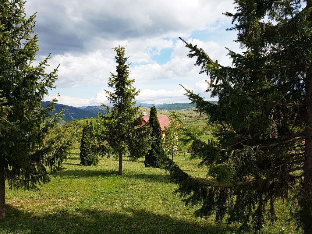 Holiday Home Zavicaj Plužine Exteriér fotografie