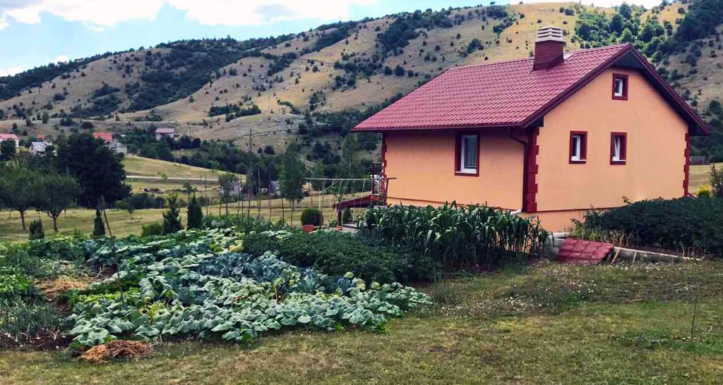 Holiday Home Zavicaj Plužine Exteriér fotografie