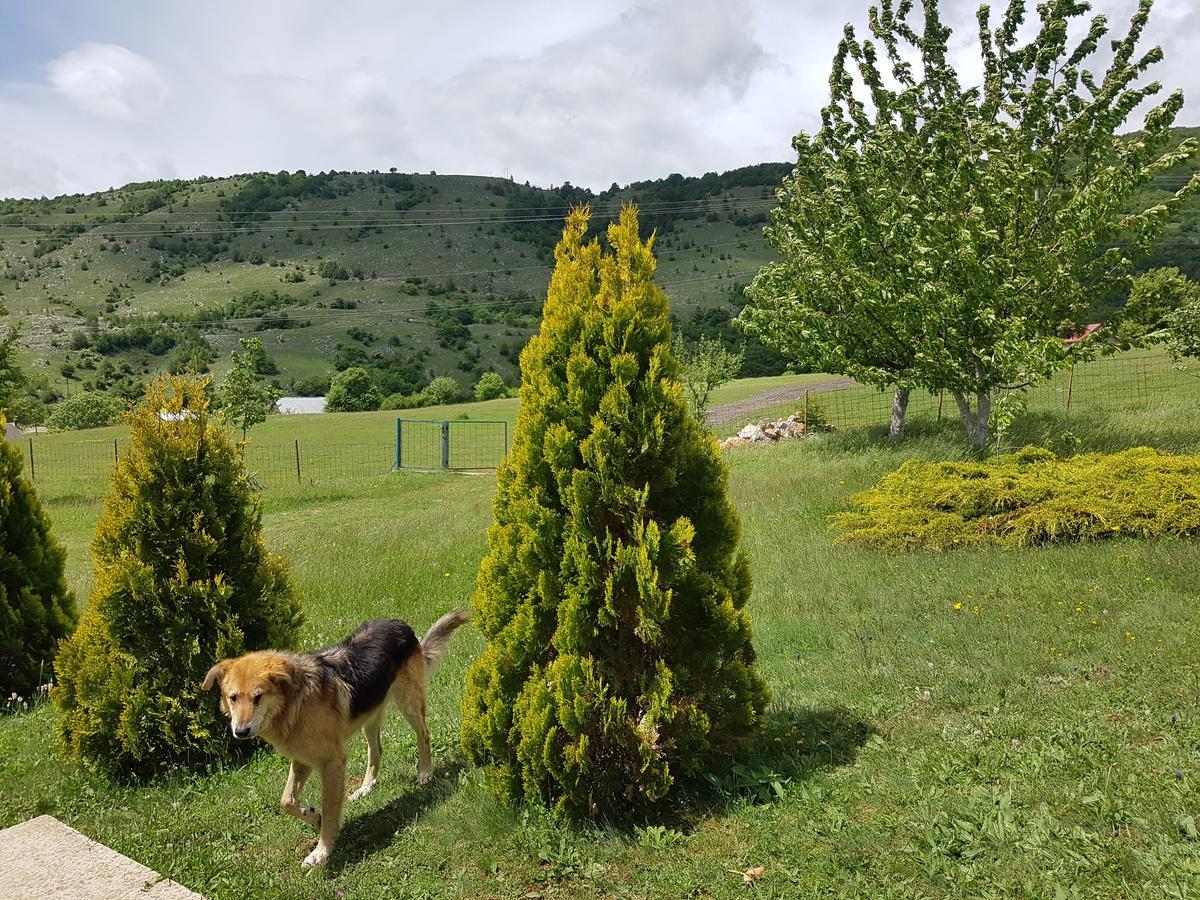 Holiday Home Zavicaj Plužine Exteriér fotografie